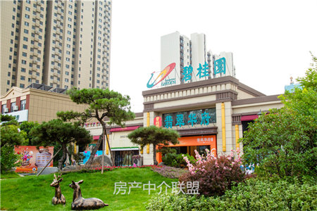 求购荆河或北辛闲置的两间地基独院